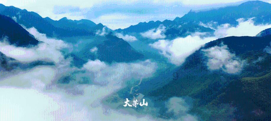 绿钻石进宝箱